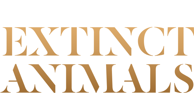 Moooi Playing Cards