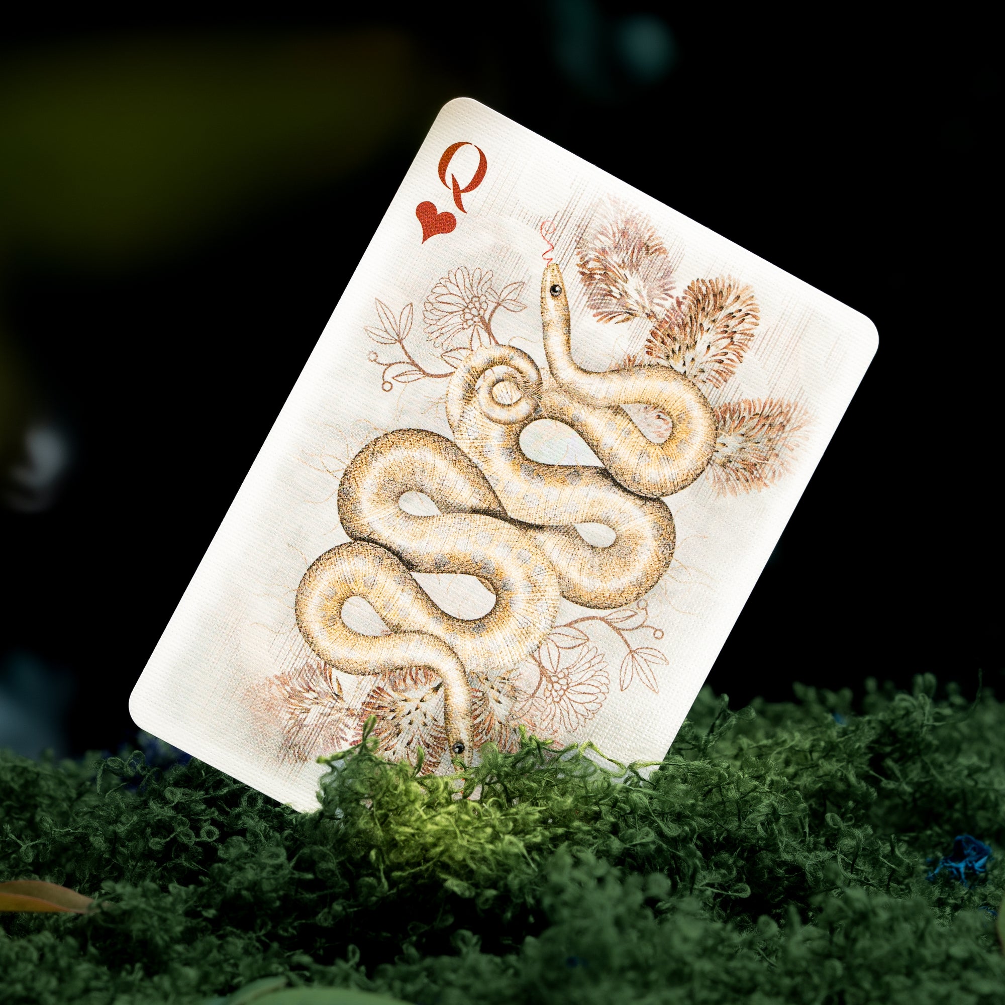 Moooi Collector's Edition Playing Cards – image 17