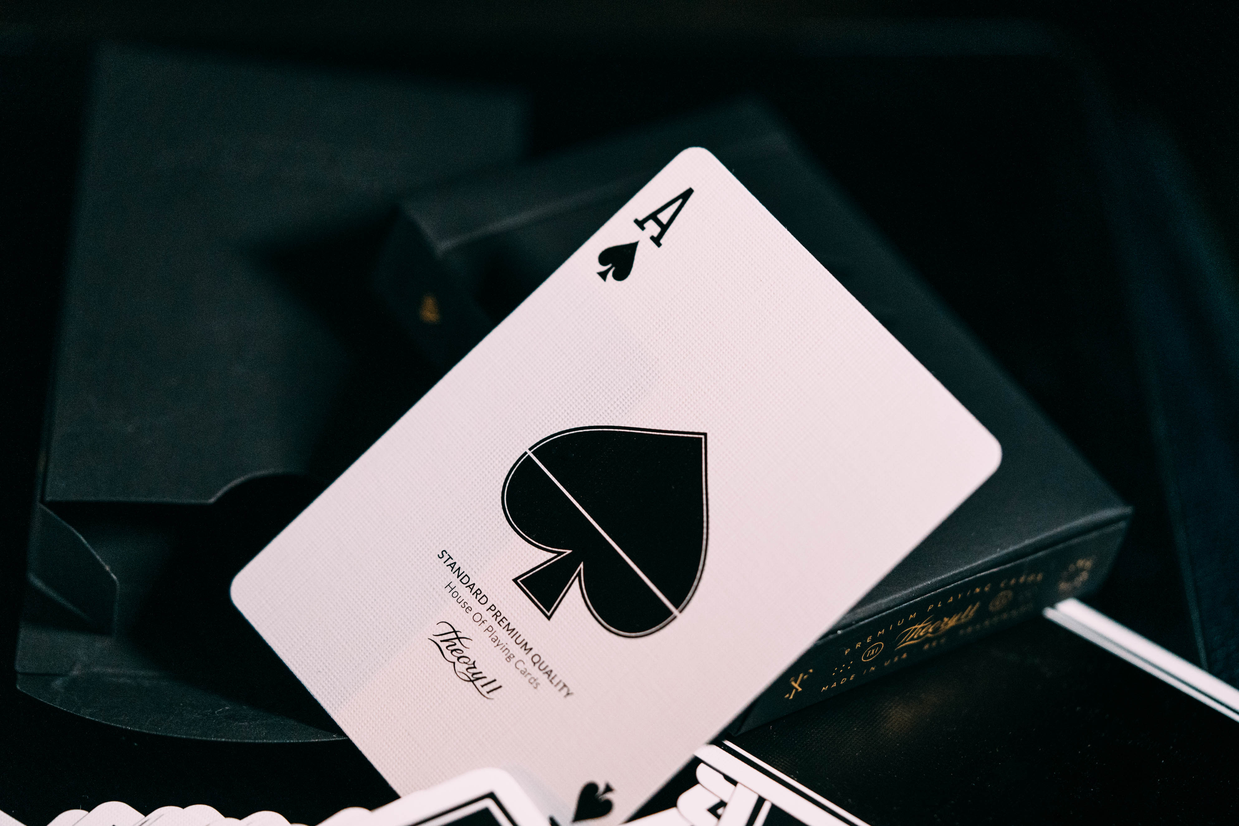 NOC x Midnight | theory11