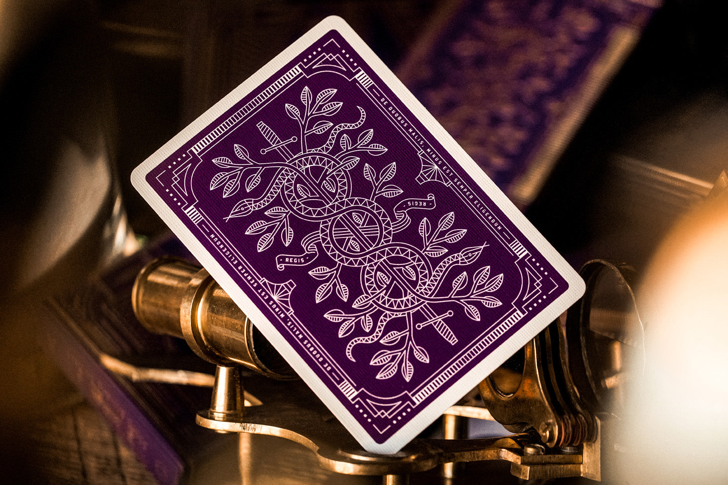 anyone playing cards purple 4種セット Anyone Worldwide: Purple 6006 Showroom Playing Cards | X